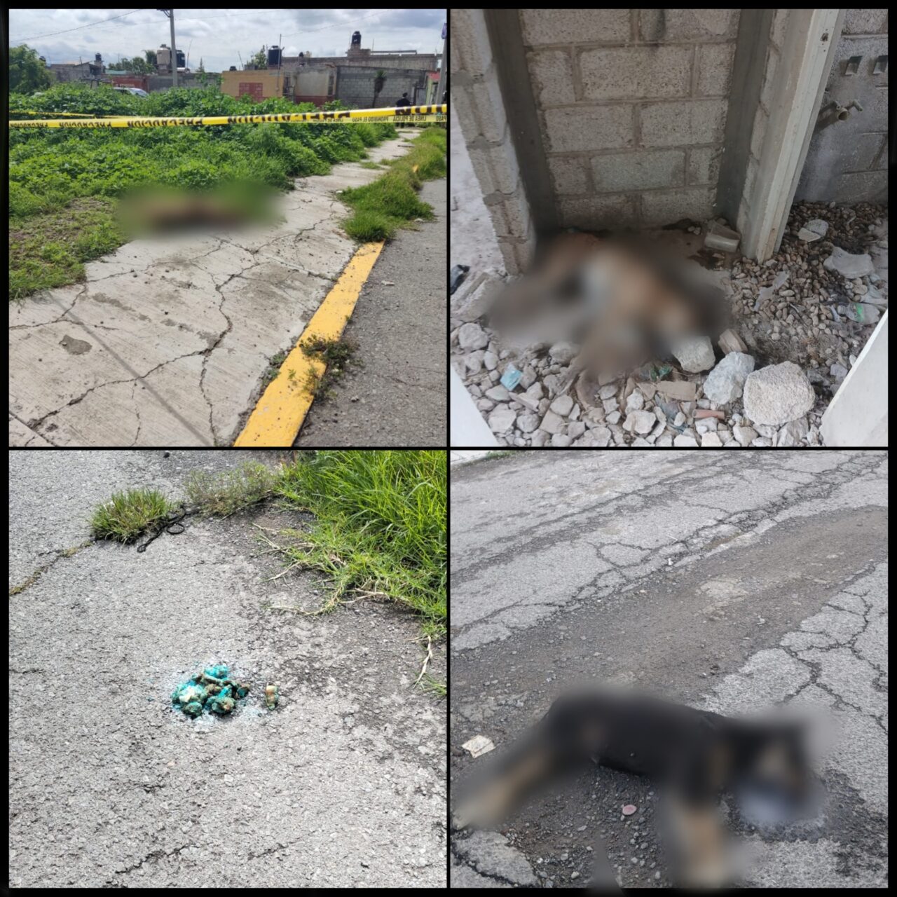 Polish_20250701_141125328