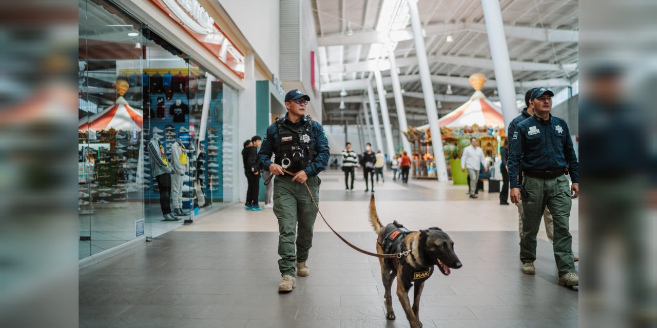 InShot_20251103_183529997