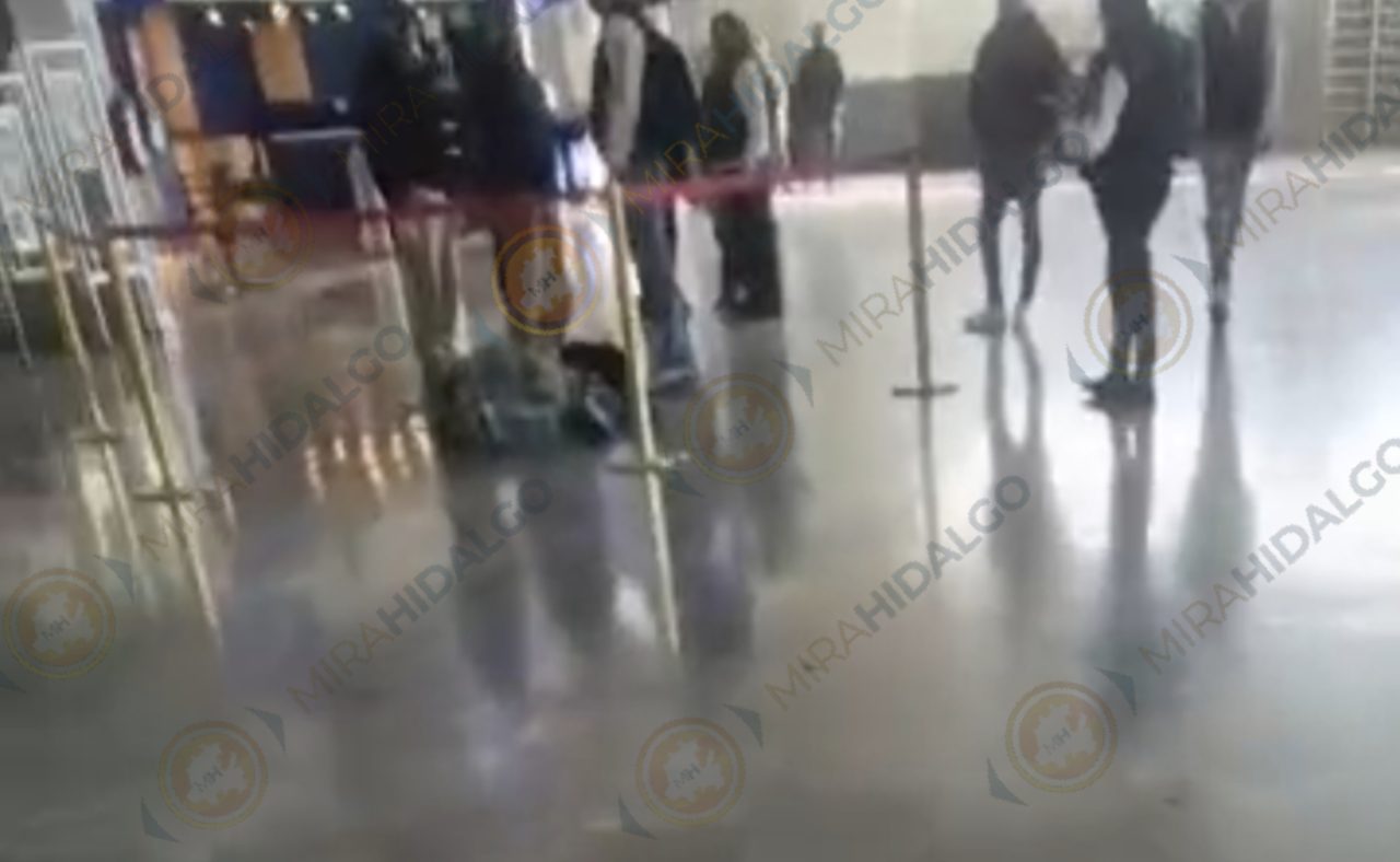 InShot_20251112_092859348