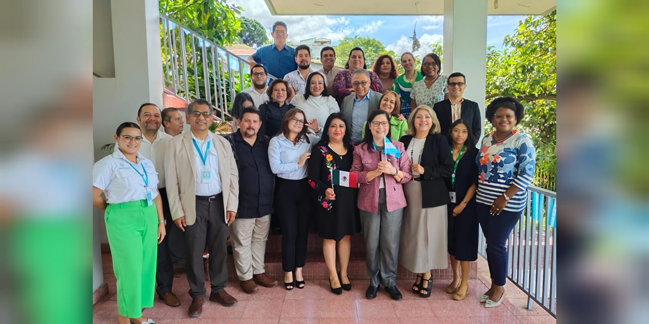 InShot_20251117_110310272