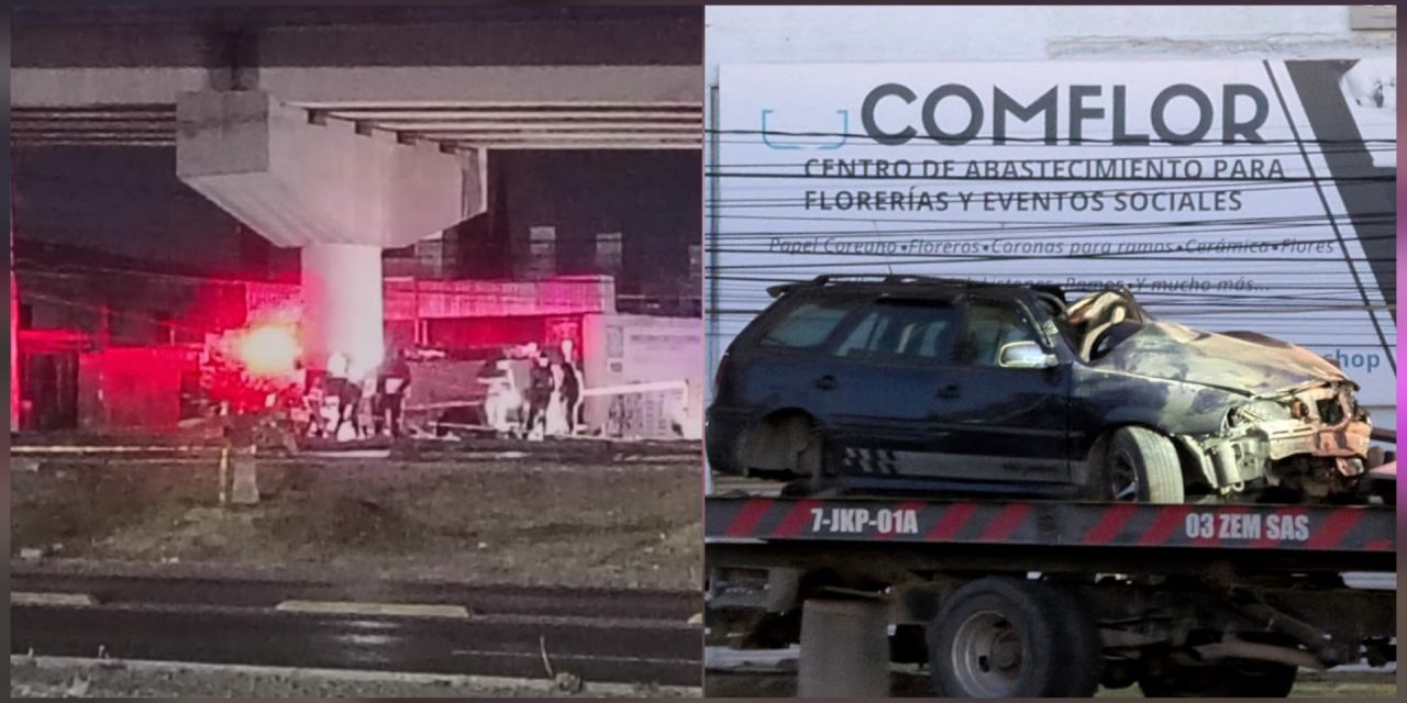 Polish_20251114_092933402