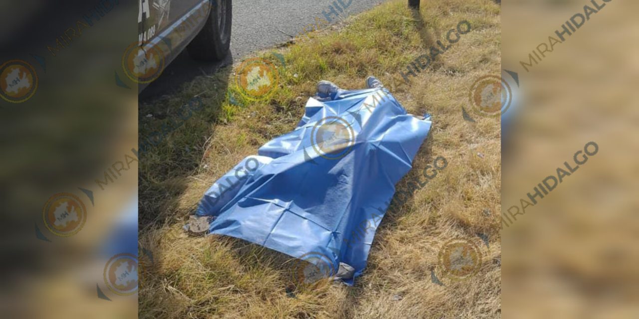 InShot_20251211_123845006