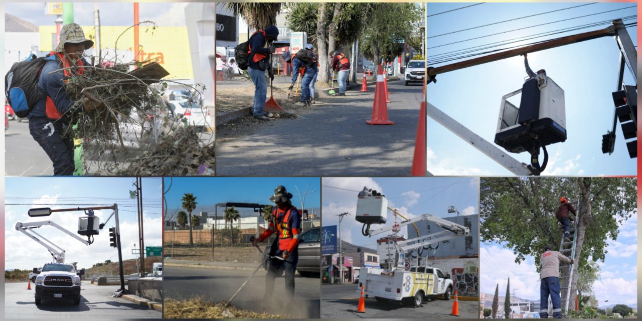 Polish_20251229_182249454