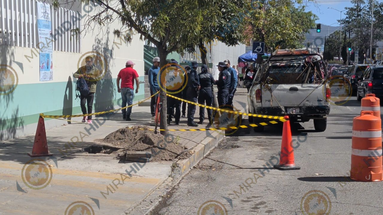 InShot_20260112_132359245