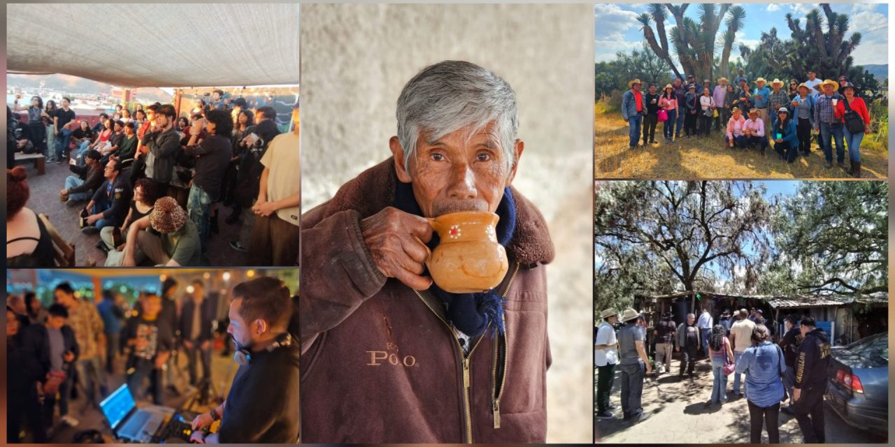 Polish_20260129_142016220