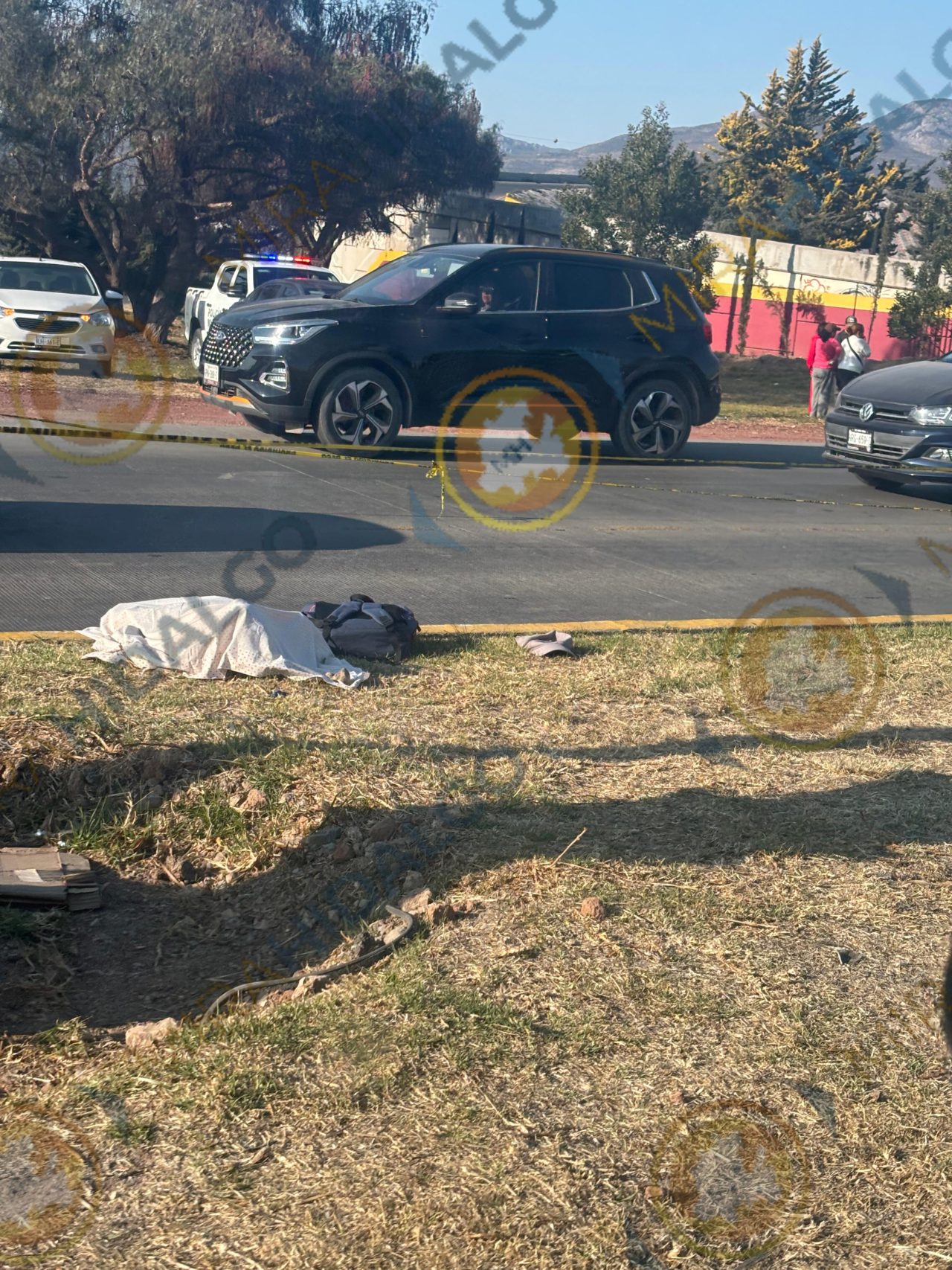 InShot_20260211_170052210