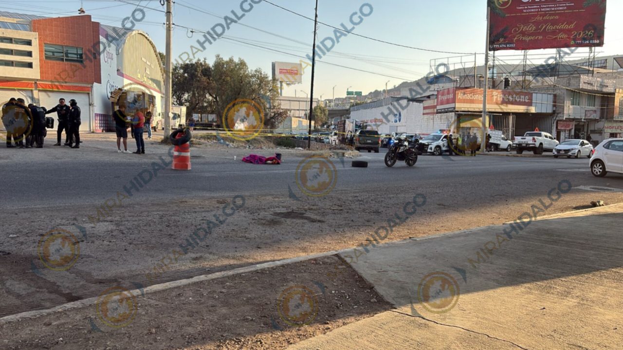 InShot_20260211_183930747