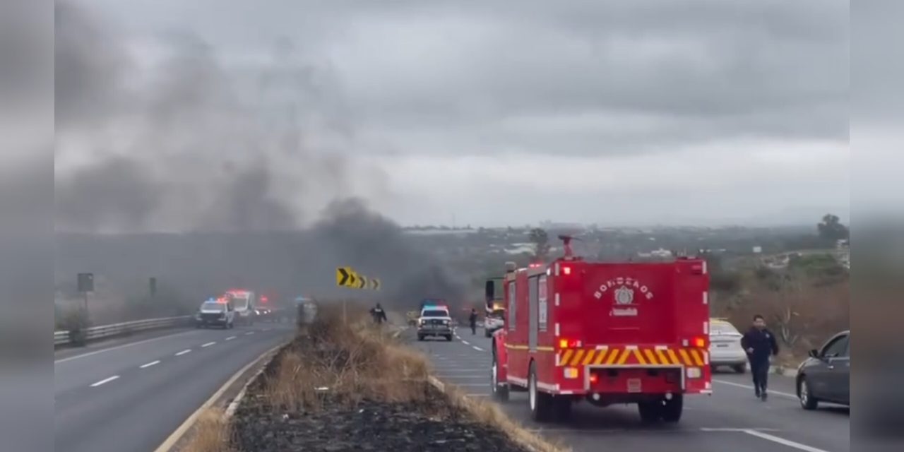 InShot_20260222_115525260