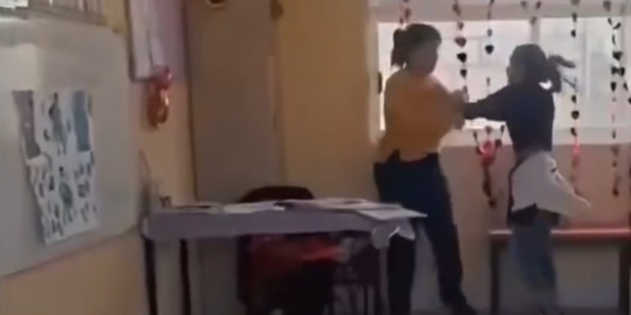 InShot_20260226_080617265