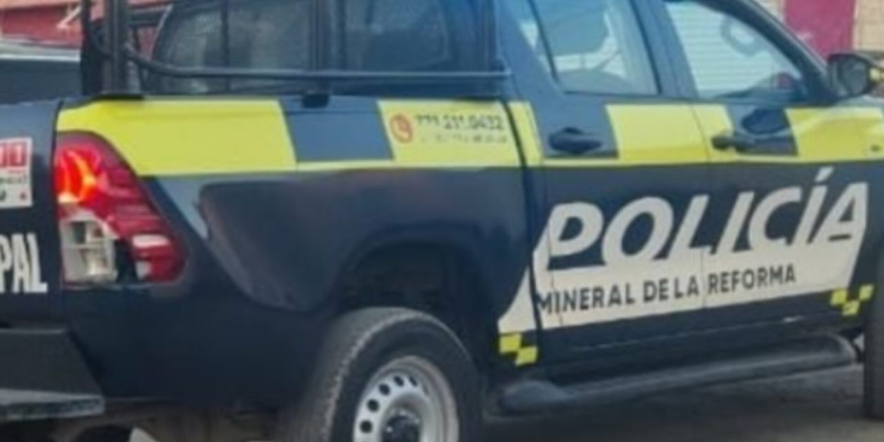 InShot_20260303_104626377