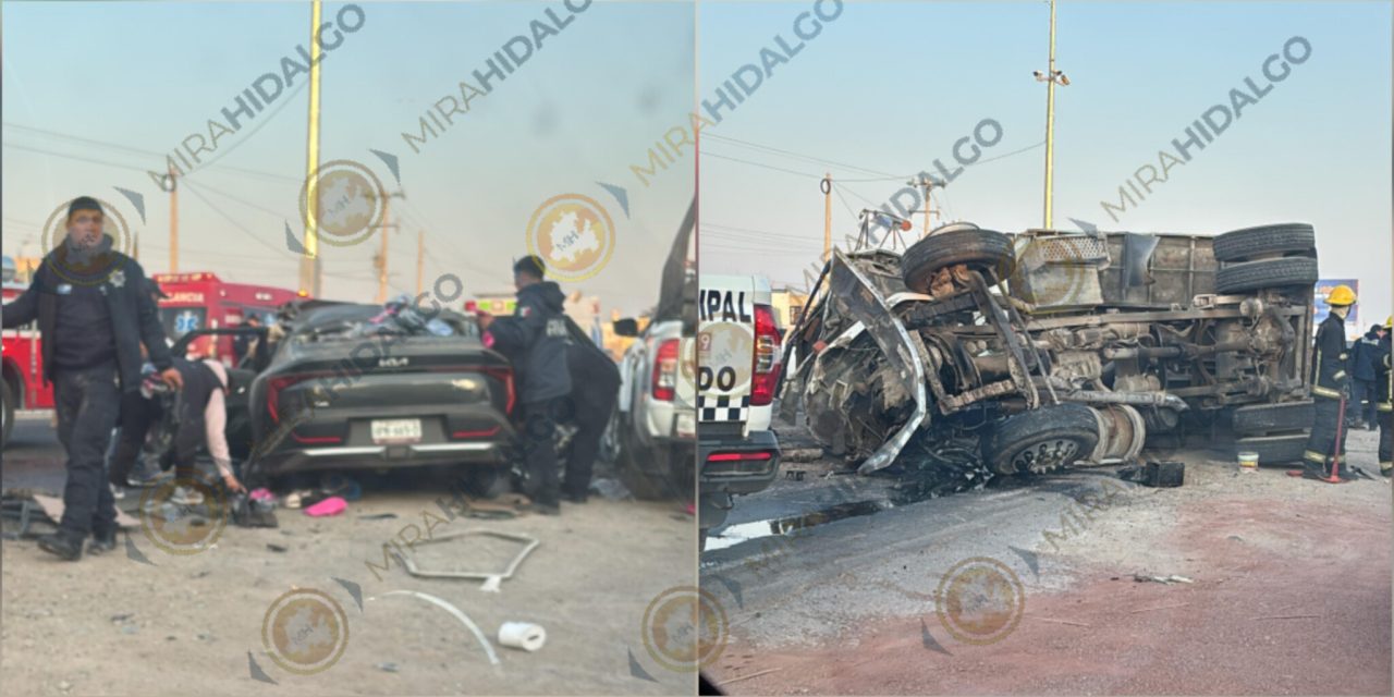 InShot_20260305_083756424