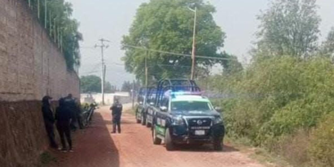 InShot_20260310_091723549