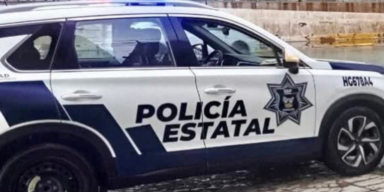 InShot_20260317_101230143