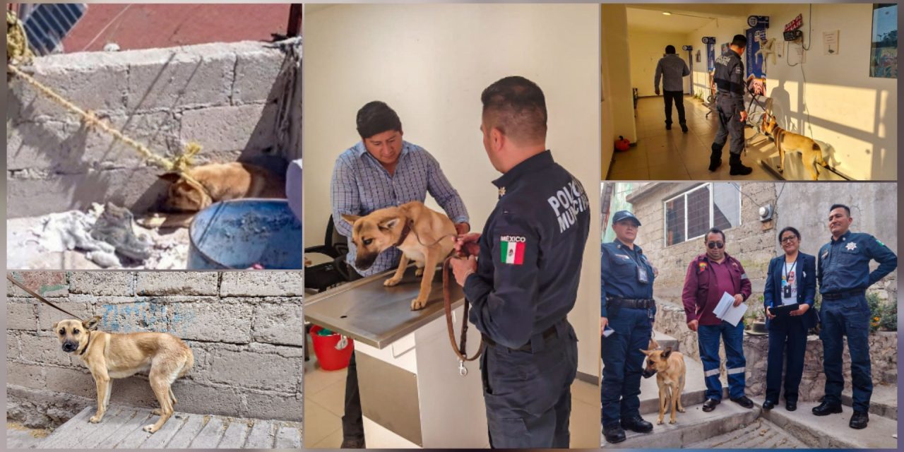 Polish_20260303_193912235