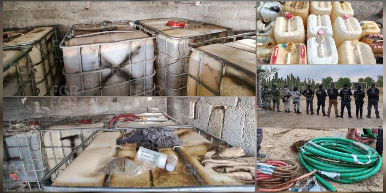 Polish_20260312_085244608