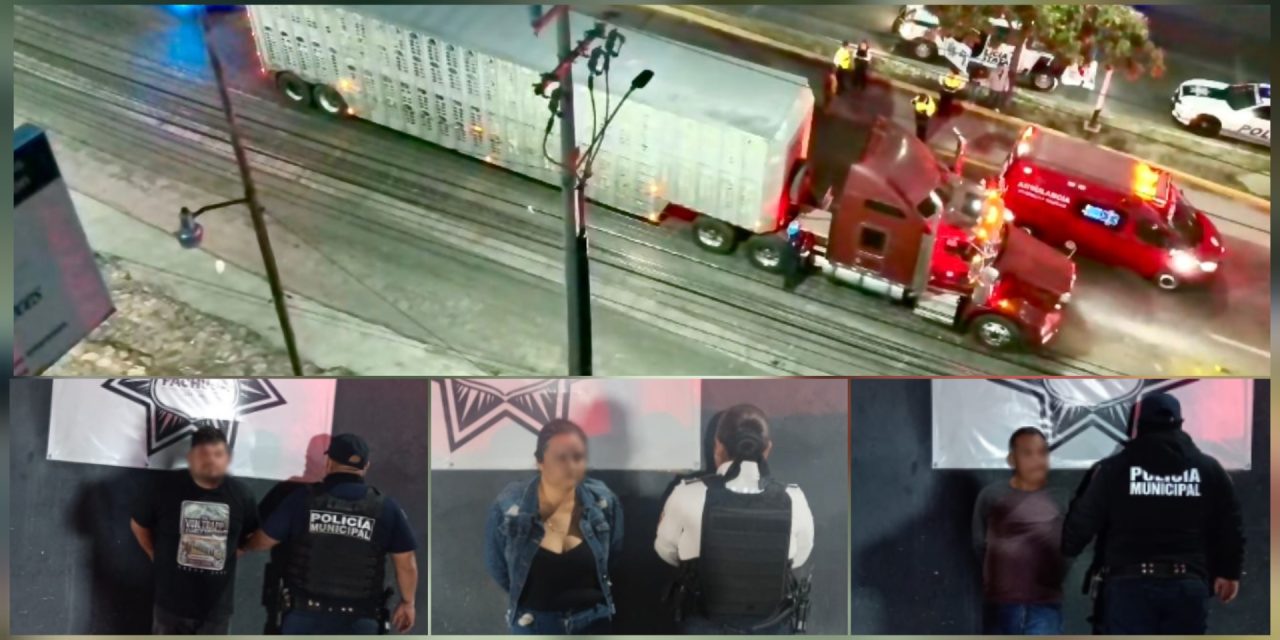 Polish_20260325_100629301