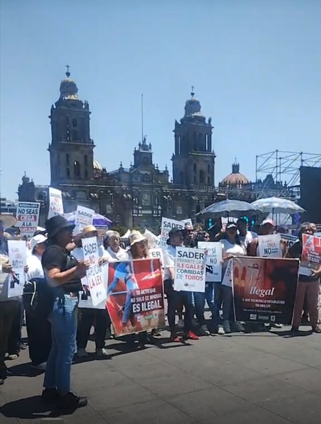 Polish_20260429_125706646